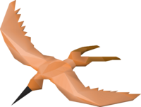 Copper longtail location